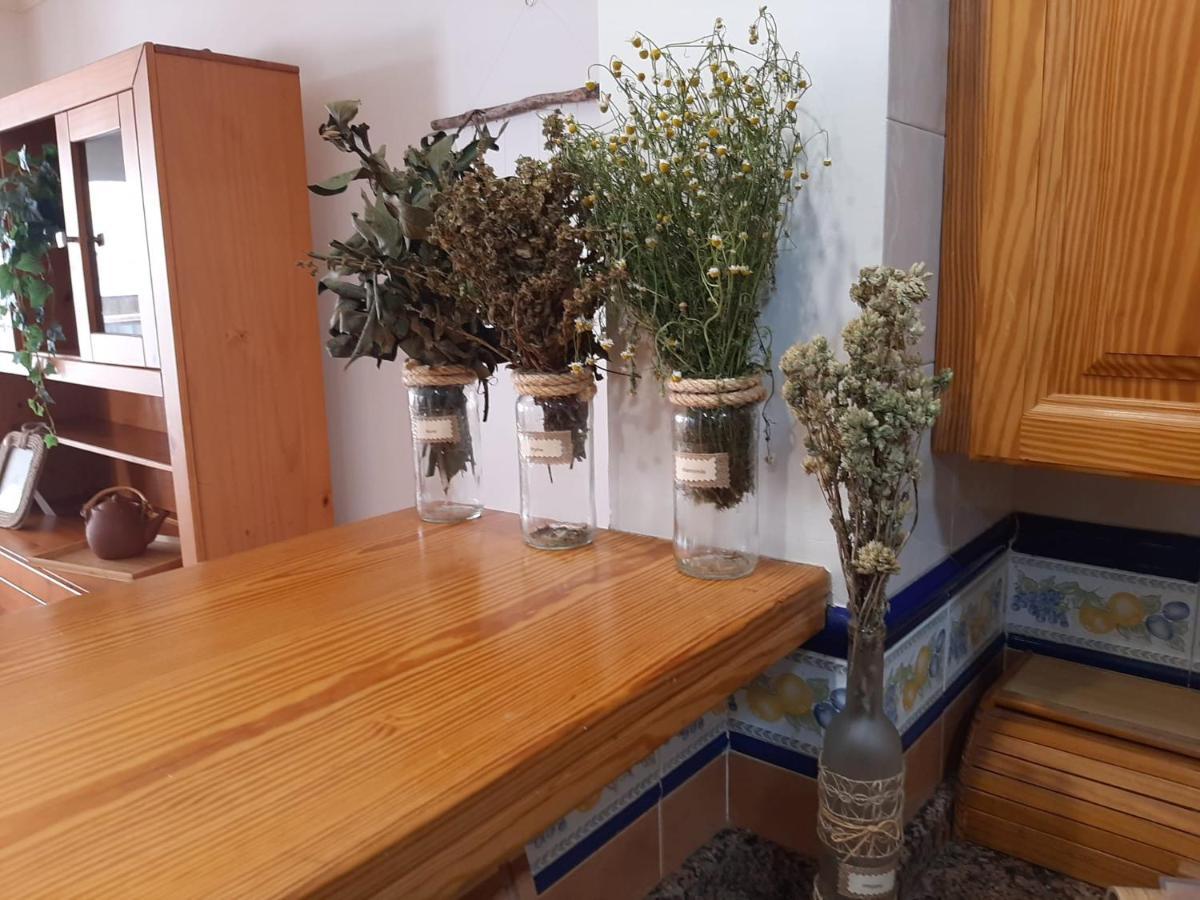 דירות פוארטו דה לה קרוז Coast 150 Puerto מראה חיצוני תמונה